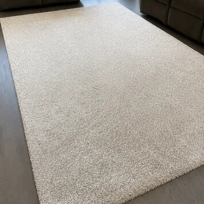 Same rug fully refreshed and clean after deep cleaning