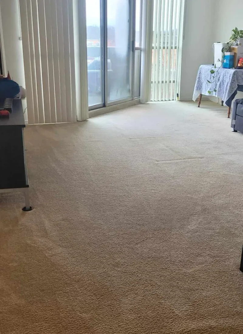 Same carpet completely restored — all stains removed after Stay Clean Masters deep clean