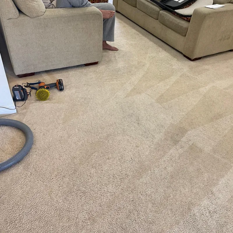 Same bedroom carpet fully restored — stains gone, fibres fresh